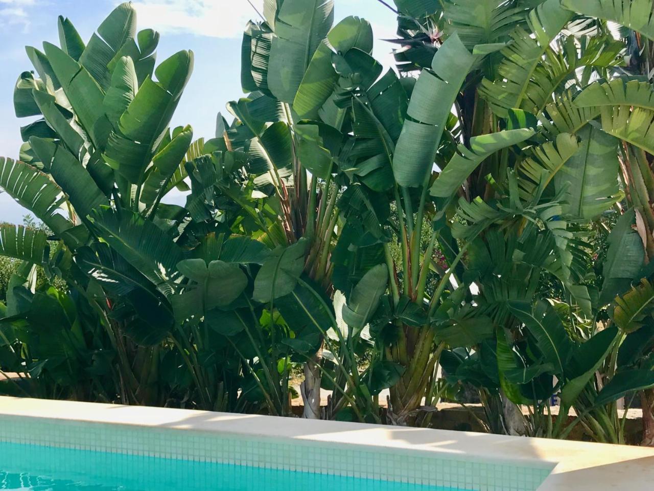 Отель Creta Blue Luxury Collection (Adults Only) Херсониссос Экстерьер фото