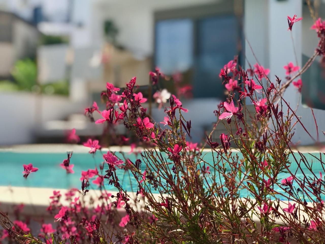 Отель Creta Blue Luxury Collection (Adults Only) Херсониссос Экстерьер фото